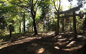 桜茶屋路傍休憩地