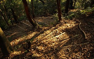 逢坂峠へ