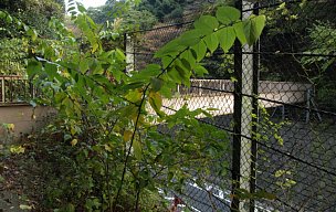 逢坂山歩道橋