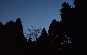 下山の空