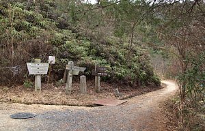 太神山登山口