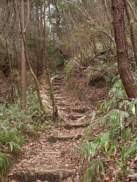 太神山登山道