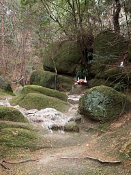 苔の岩