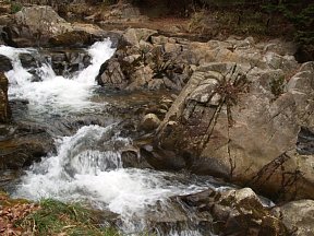 田代川急流