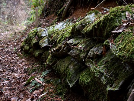 苔砂袋