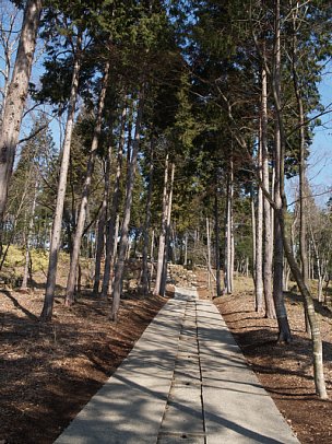 紫香楽宮跡を歩く