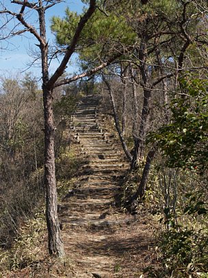 尾根の階段