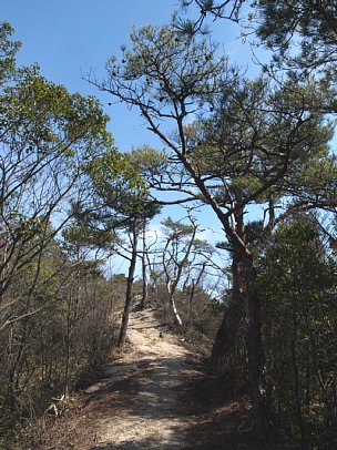 宮跡バス停