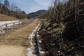 隼人川遊歩道