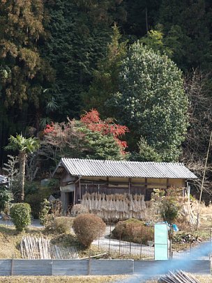 山里の風景