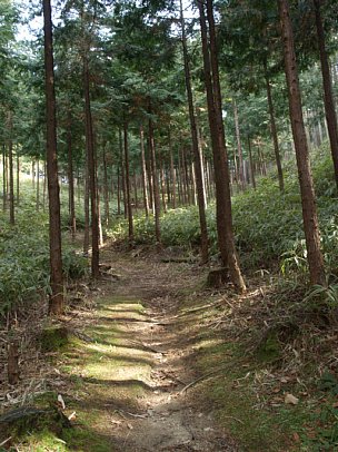 展望地への登り