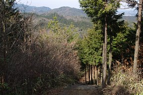 展望地からの下山道