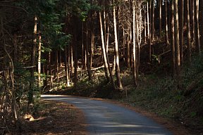 県道133号