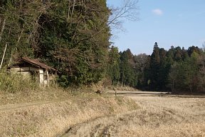 田園地帯