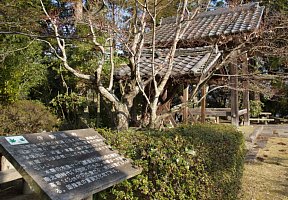 伊勢廻寺解説板
