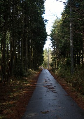 林道余野線