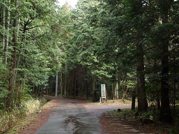 余野公園分岐