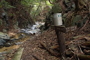 加太の滝分岐