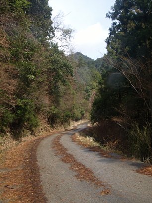 車道歩き