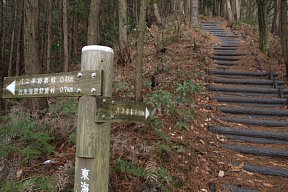 坂下の山道