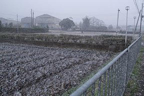 雪の降る土山