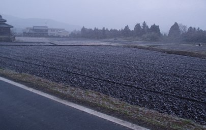 雪野原