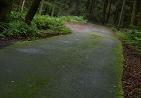 片山神社参道