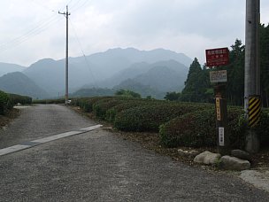 仙ヶ岳