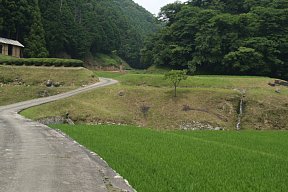 棚田地帯