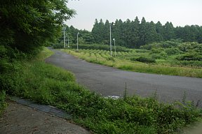 県道11号？