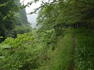 鍋川左岸