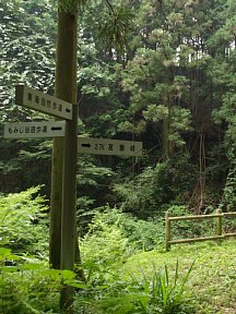 もみじ谷遊歩道分岐