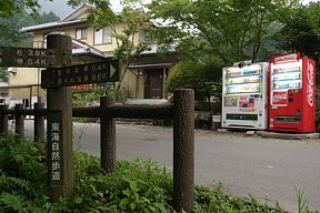 もみじ谷遊歩道終点