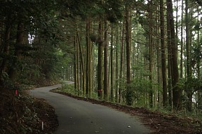 林道湯森谷線