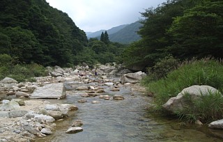 朝明川