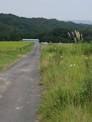 切畑の田園