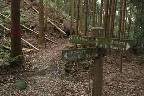 福王神社分岐