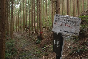 宇賀渓水晶吊橋は