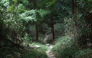 宇賀川沿いの小道