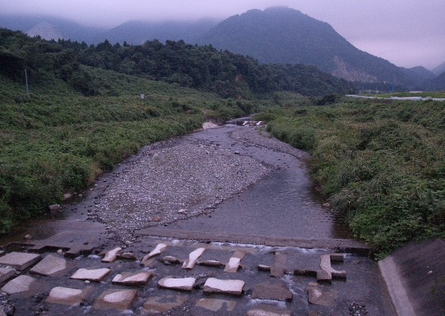 黄金橋の上流