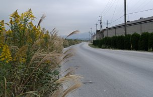 松下産業工場の前の道