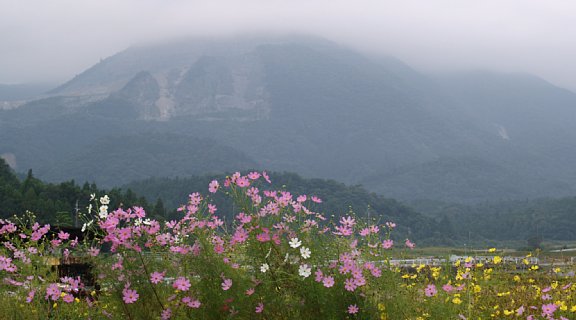 藤原岳