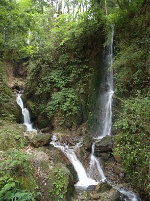 鳴谷の滝