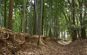 通行止めの山道