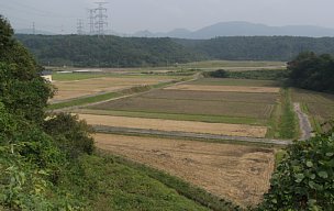 相場川流域