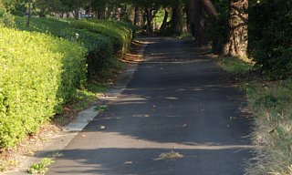 養老パークゴルフ場の道