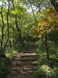 養老山登山道