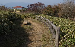 小倉山山頂園地