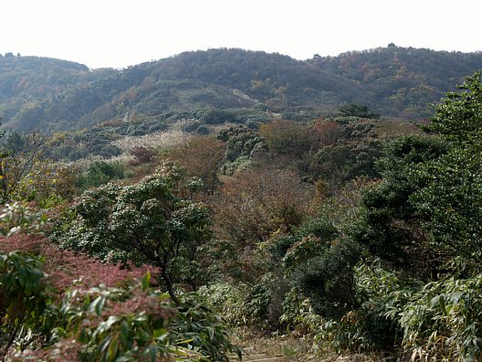 養老山