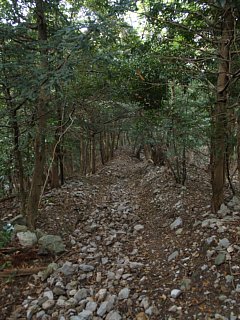 荒れた道